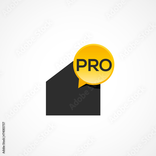 professionnel-maison