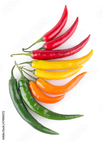 colorful chili peppers
