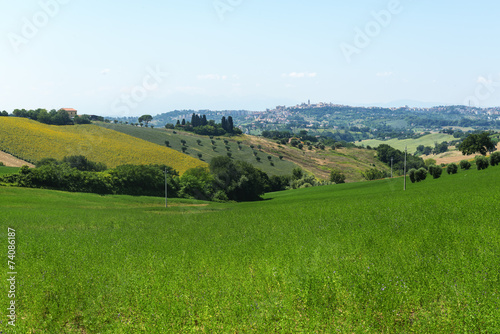 Summer landscape in Marches  Italy 