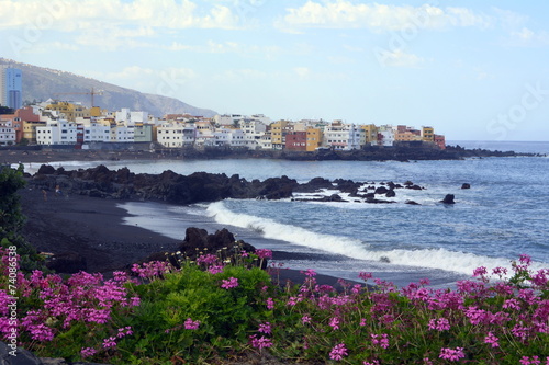 Puerto de la Cruz. Playa Jardín y geranios rosas