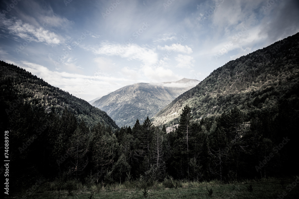 Forested valleys between the mountains. andorra