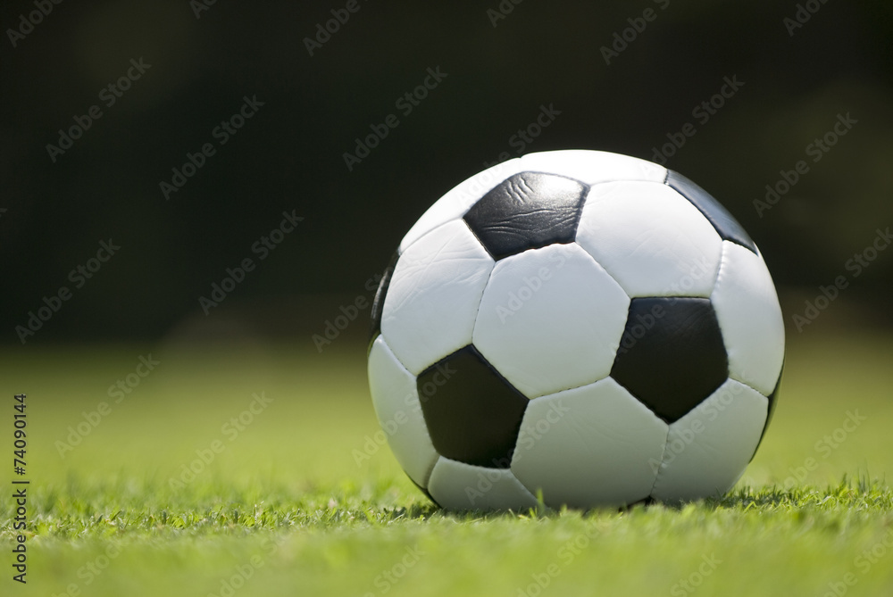 Obraz premium Soccer Ball On Green Grass