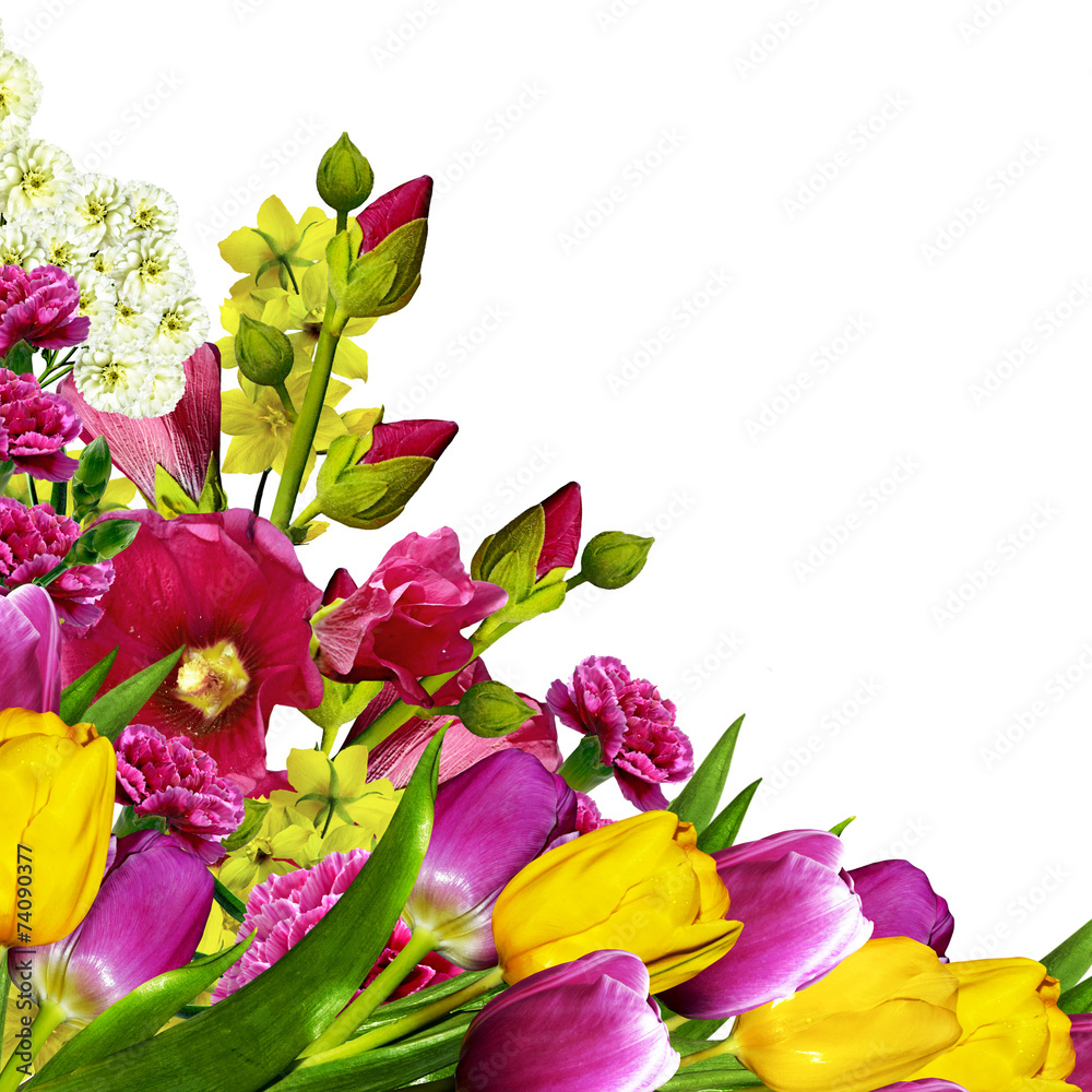 bouquet of flowers isolated on white background Stock Photo | Adobe Stock