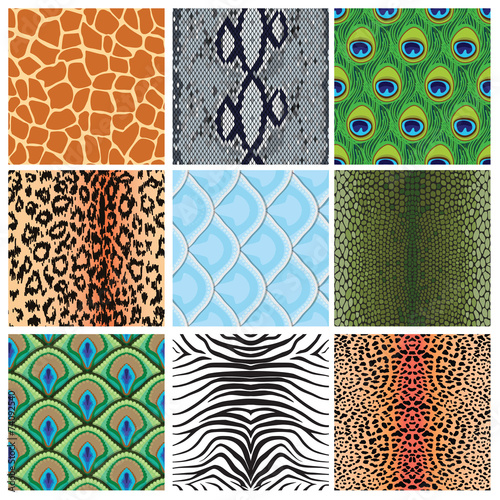 set of seamless textures of animal skins,
