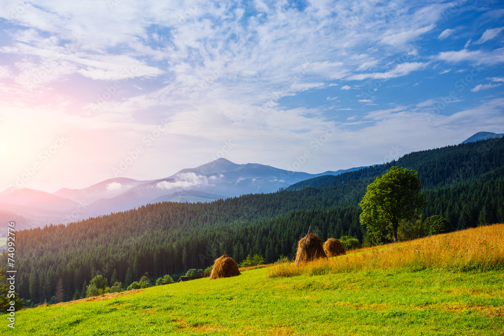 Stack of hay on a green meadow in the mountains.