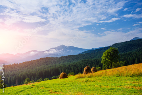 Stack of hay on a green meadow in the mountains. © standret