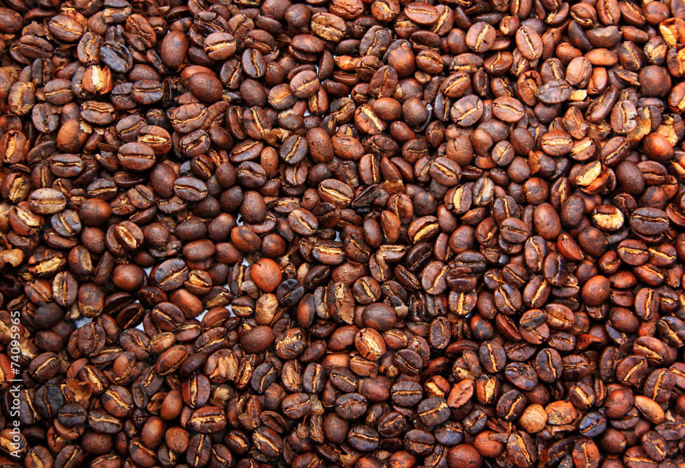 Fototapeta premium Coffee Beans
