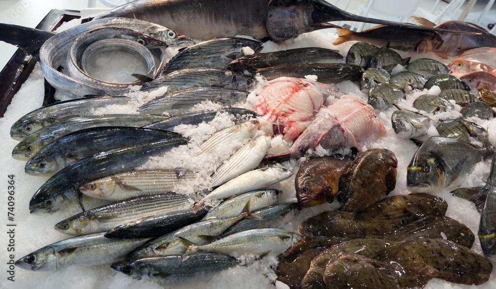 fish on mediterranean  counter