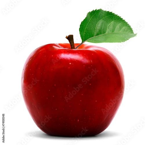 Red apple photo