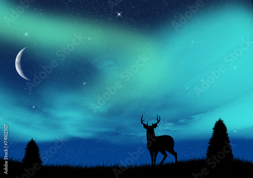 Aurora borealis © adrenalinapura