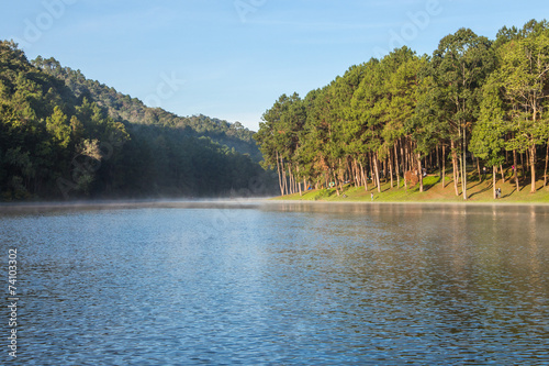 Pang Ung Forestry Plantations in winter  Maehongson  North of Th