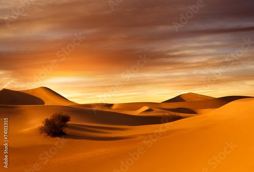 Obraz na plátne sunset dunes