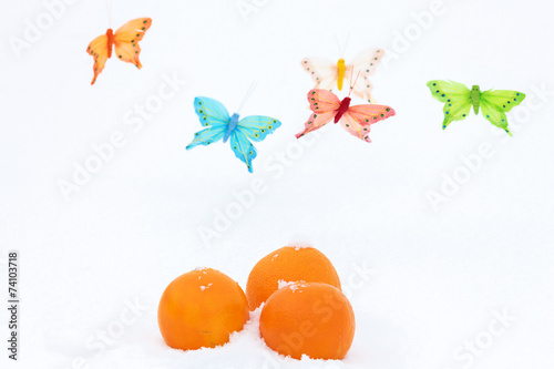 Oranges and butterflies-decorations on the snow