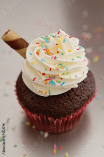 Obraz na plátně Close up of chocolate sundae cupcake