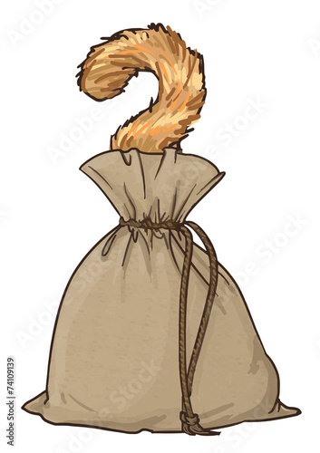 cat in the sack. Canvas sack vector.