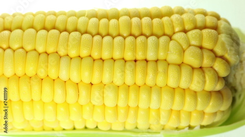 Grains of ripe corn with water droplets, Dolly shot photo