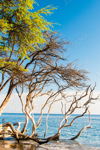 Fototapeta Naklejka Na Ścianę i Meble -  Tropical Island Paradise