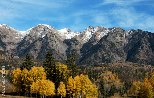 Autumn aspen set against a Colorado mountain