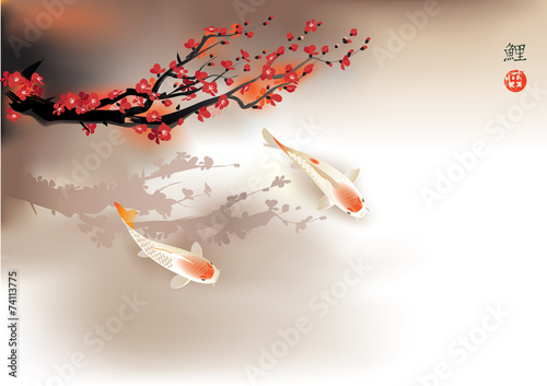 Koi carp