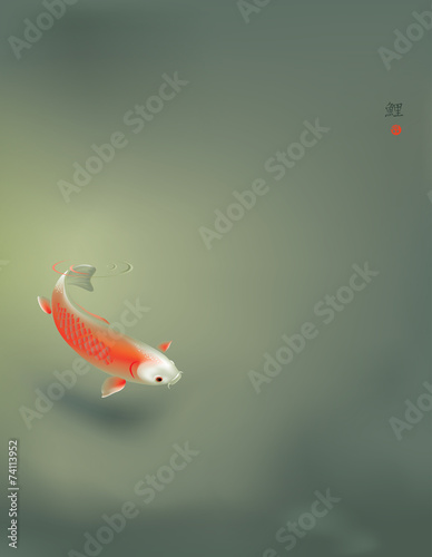 Koi carp