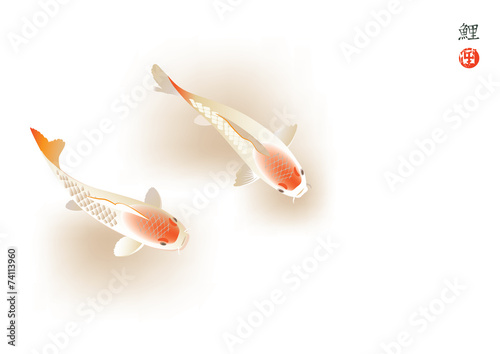 Koi carp