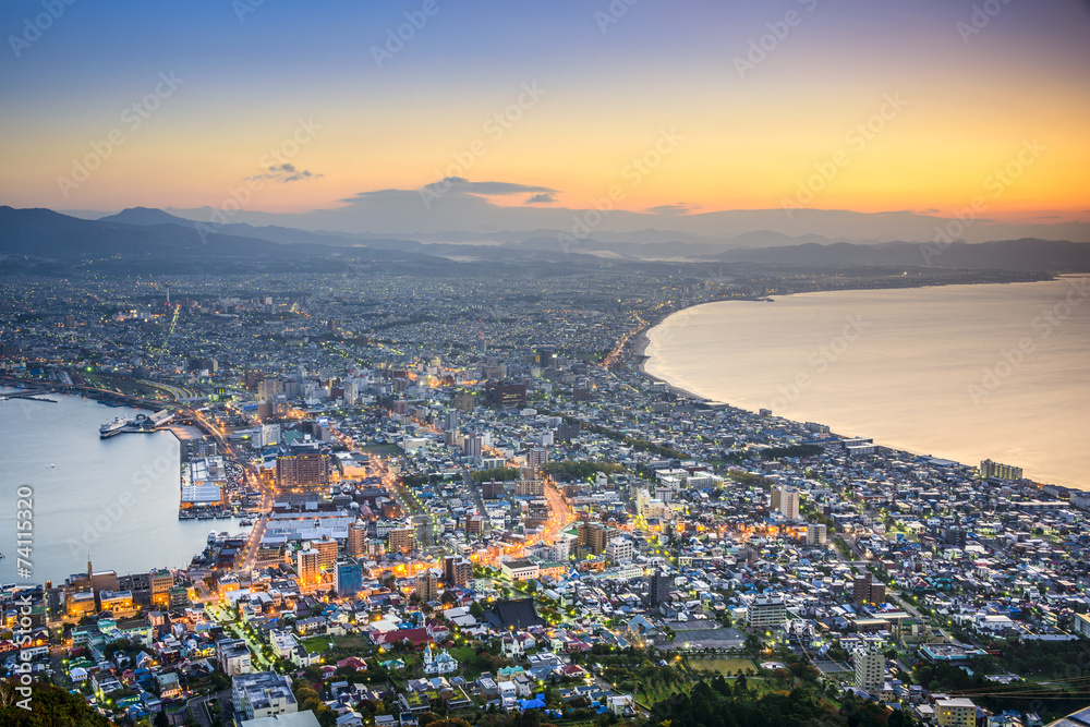 Fototapeta premium Hakodate, Japan City Skyline