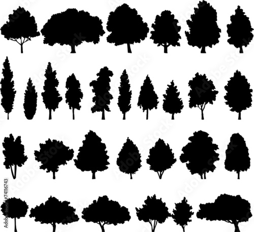 set of different deciduous trees