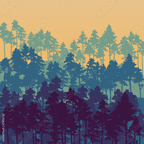 landscape with pine trees
