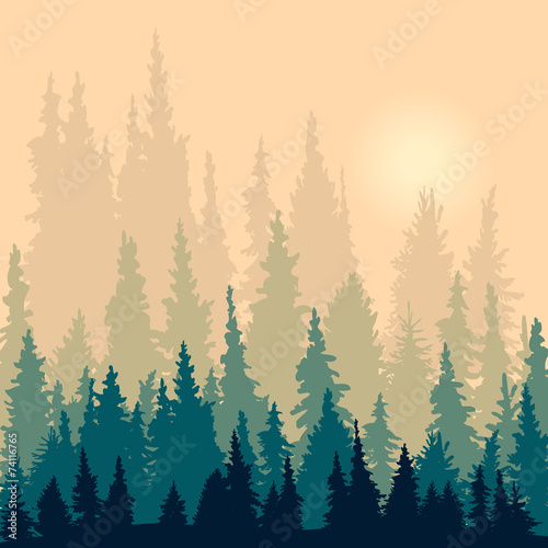 landscape with silhouettes of fir-trees