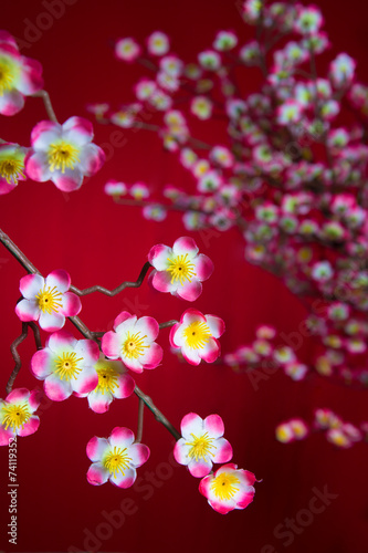 Fototapeta Naklejka Na Ścianę i Meble -  chinese new year cherry blossom