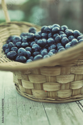 Blueberry basket
