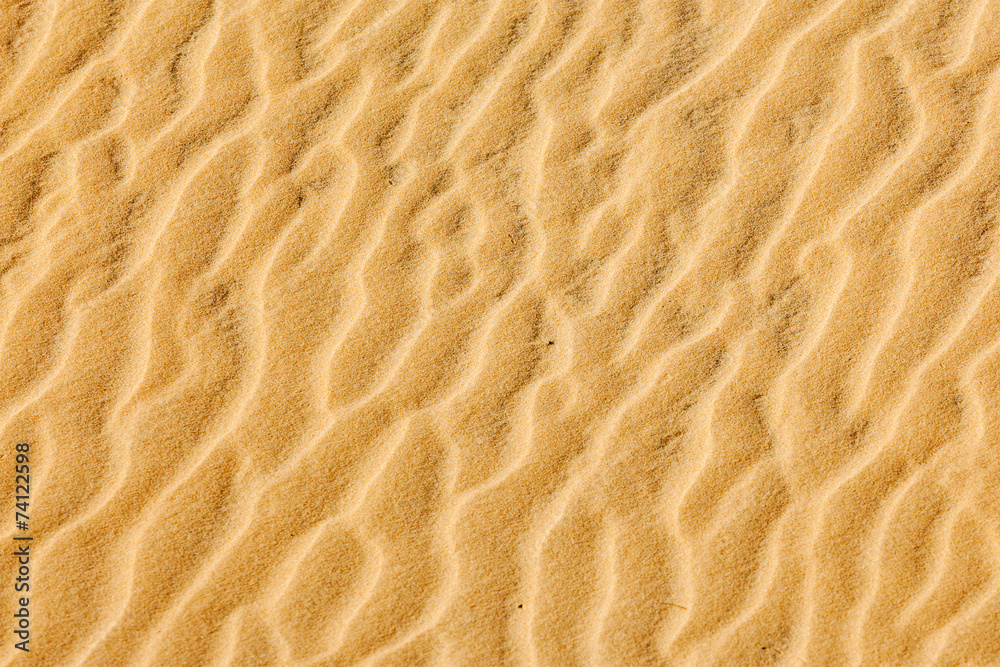 Sand texture Sand texture