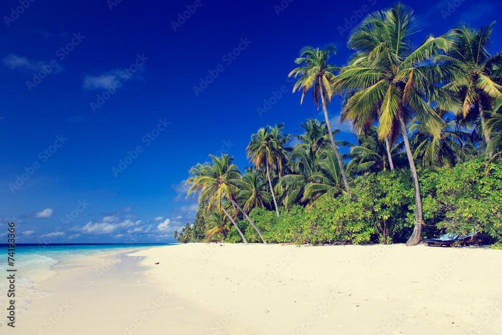 Obraz premium tropical sand beach