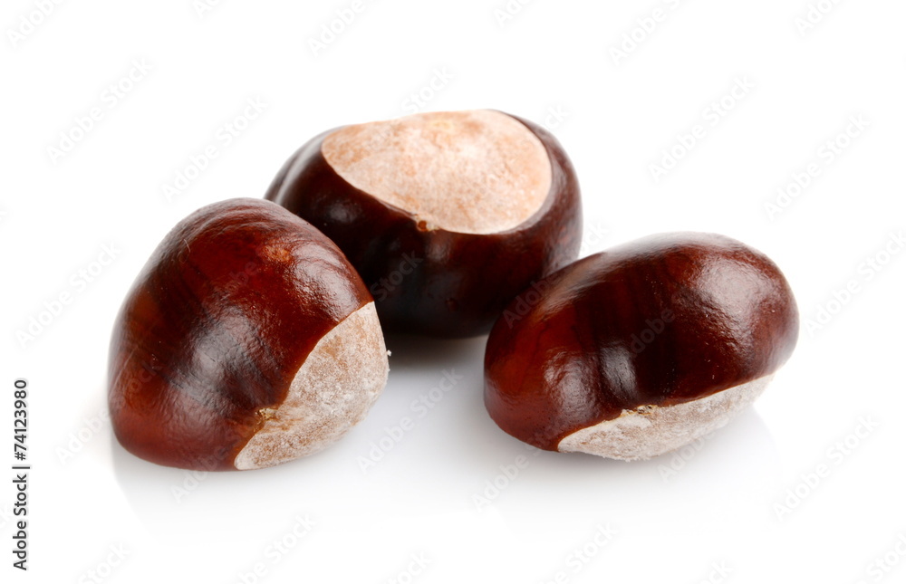 Closeup shot few chestnuts isolated on white background Closeup shot few chestnuts isolated on white background