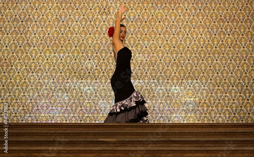 Photography Spanish dancer