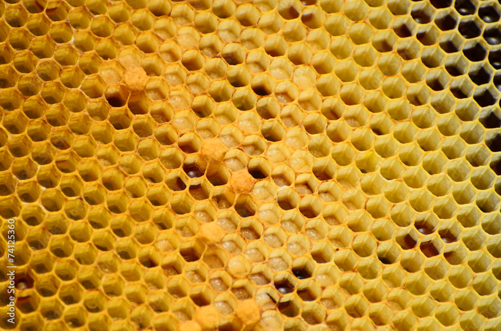 Abstract honeycomb pattern with honney forms