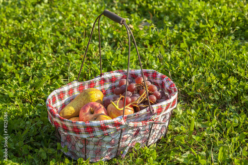 Picnic basket fruits