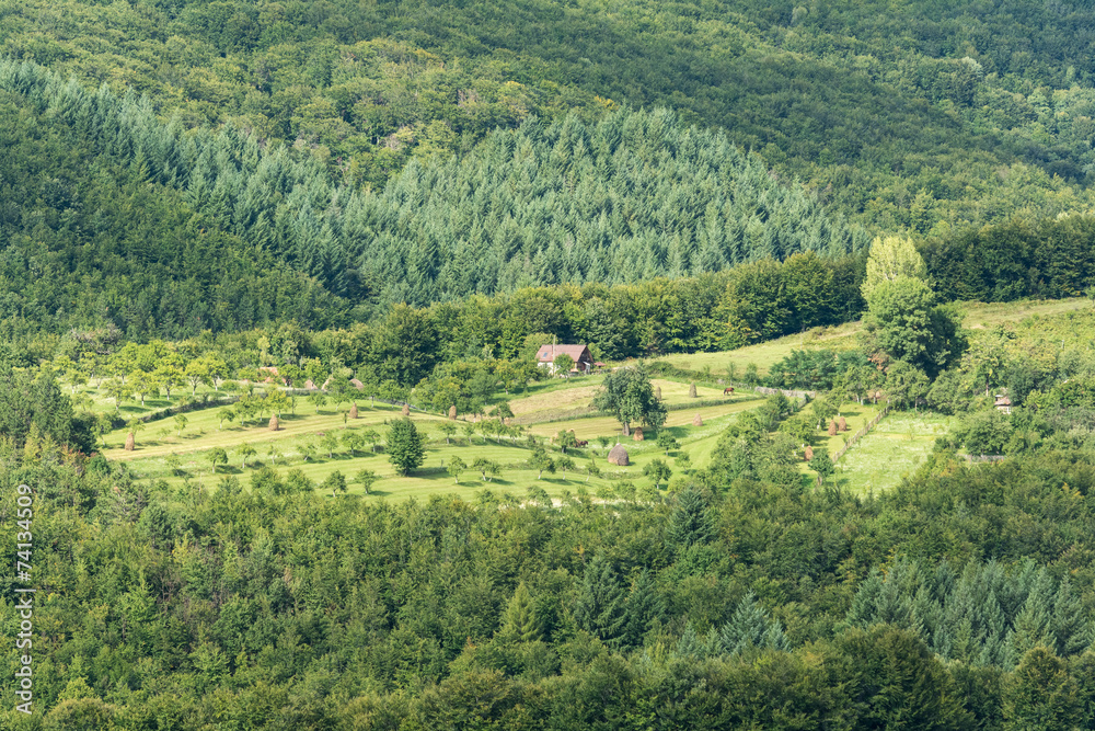 Farm Land View In Mountain Green Forest Farm Land View In Mountain Green Forest