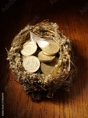 Bird's Nest filled with British Pounds