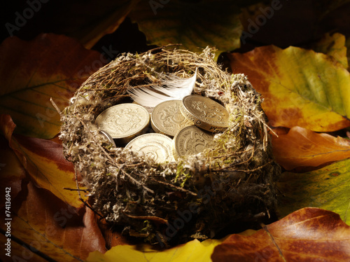 Bird's Nest filled with British pounds