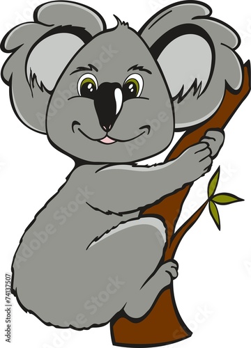 Photography SweetPet23EDK1