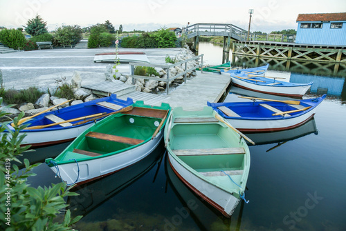 Barques colorées