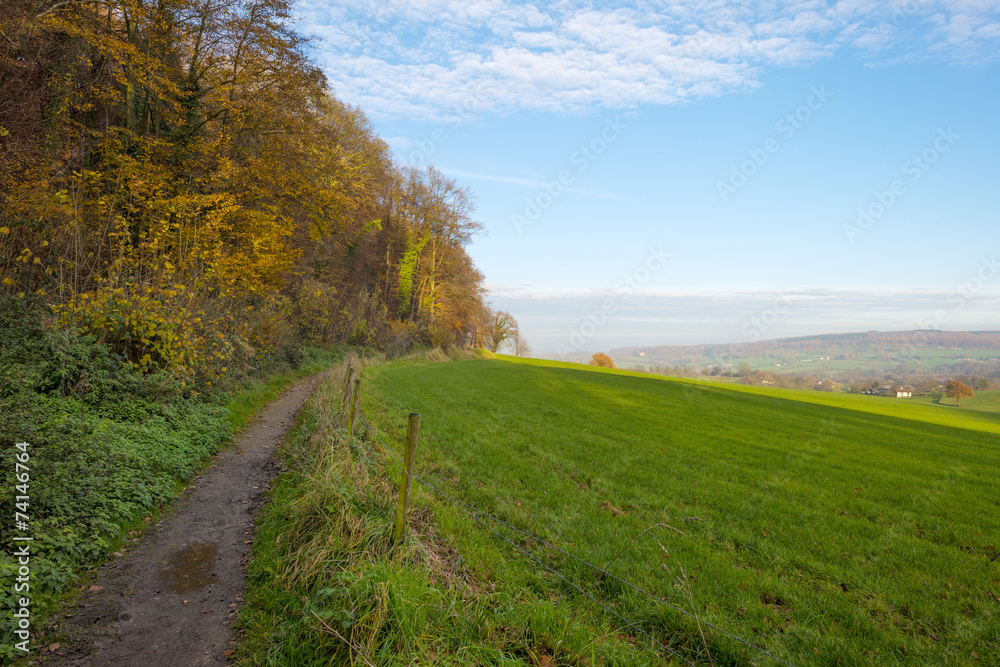 Country lane along a field at sunset in autumn Country lane along a field at sunset in autumn