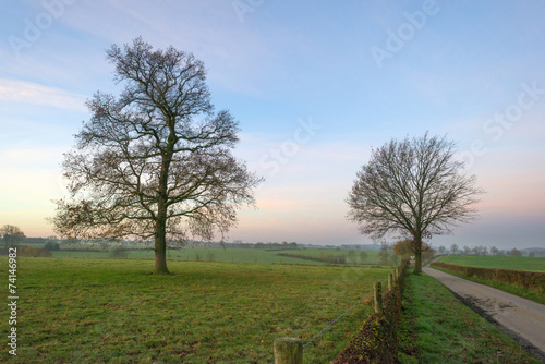 Country lane along a field at sunrise in autumn