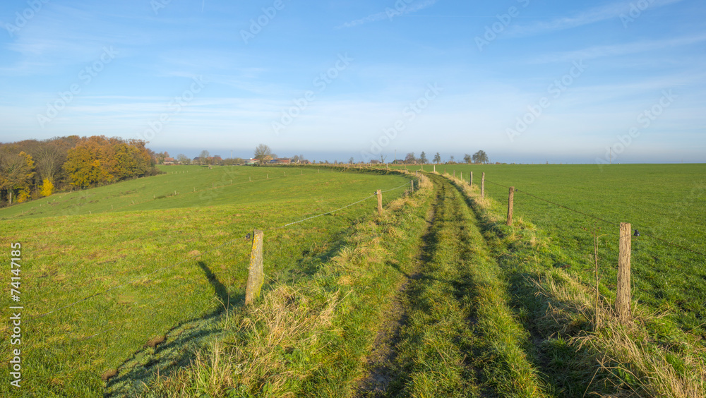 Track in a sunny field at fall