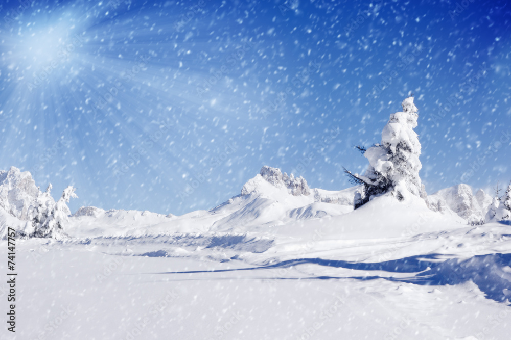 Winter Landscape Winter Landscape