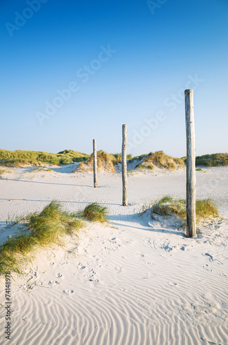 coastal dune Sankt Peter-Ording