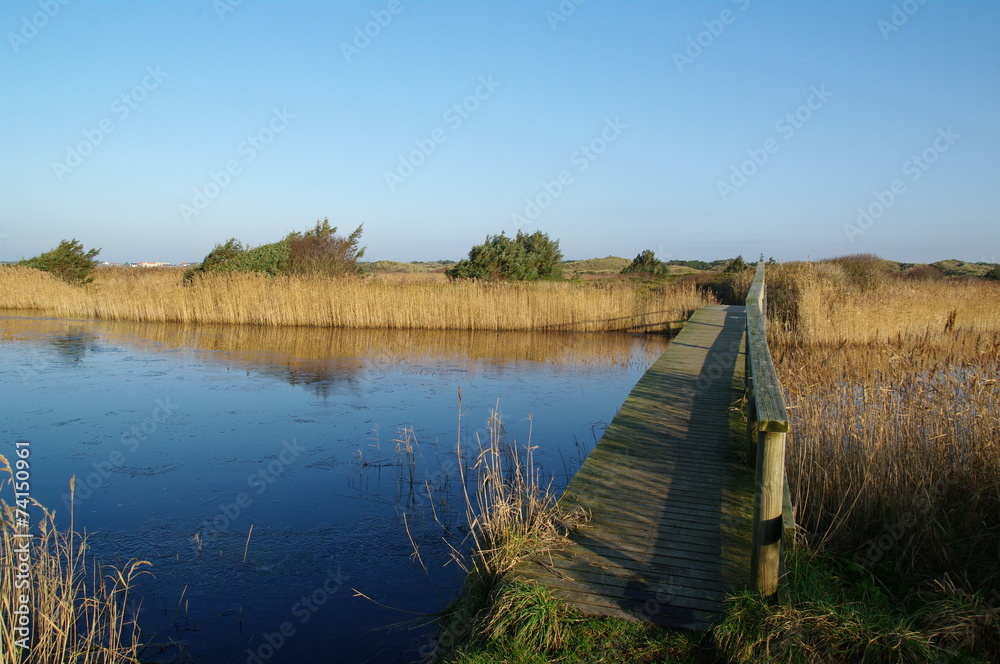 Obraz premium Holzbrücke in Dänemarks Jütland