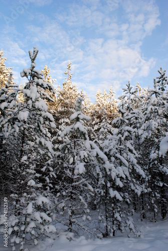 Winter in Skaraborg photo