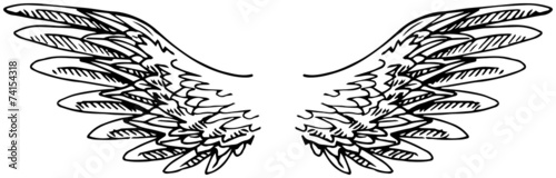 Hand drawn wings